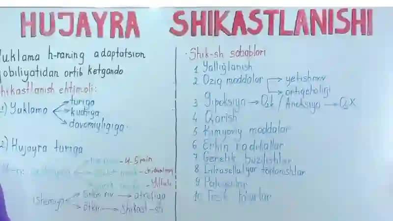 ҲУЖАЙРА ПАТОЛОГИЯСИ, НЕКРОЗ, ҲУЖАЙРАДА МЕТАБОЛИТЛАР ТЎПЛАНИШИ” 2