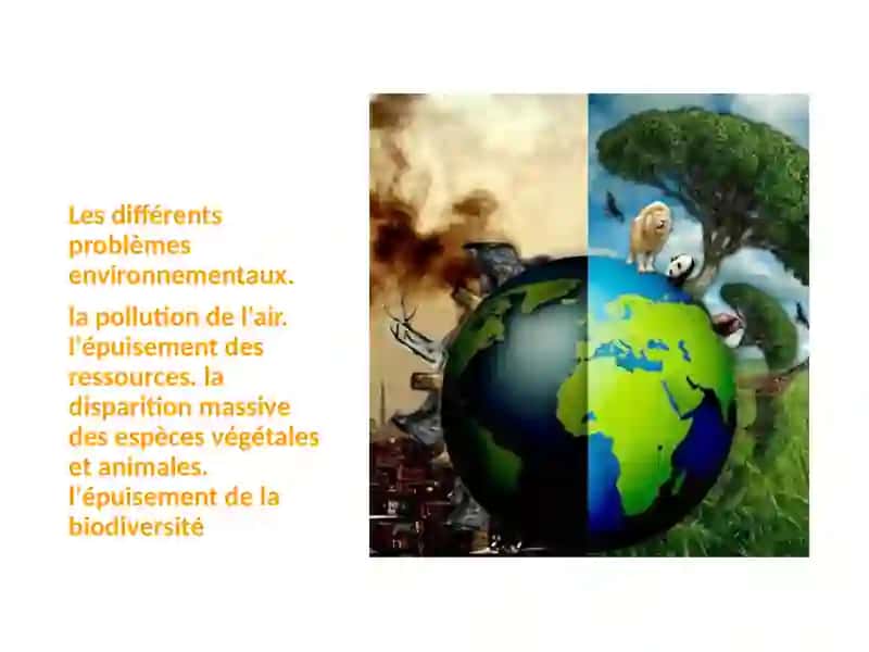 Les problèmes de l'environnement 2