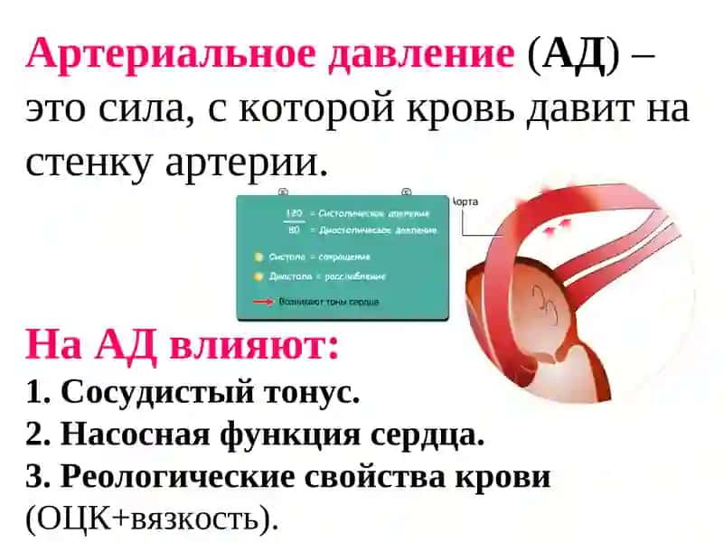 Гипотензивные ЛС 2