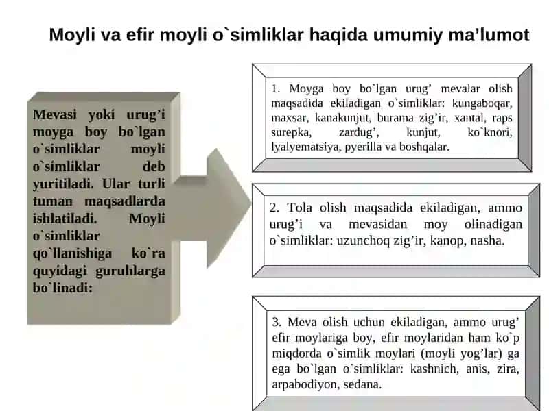 MOYLI O`SIMLIKLARTARXI 2
