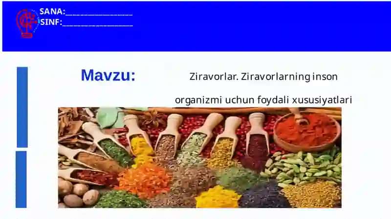 Ziravorlarning inson organizmi uchun foydali xususiyatlari 2