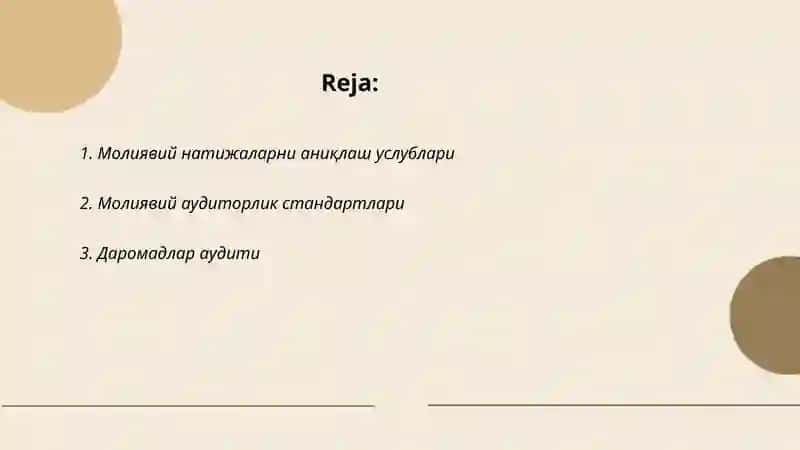 Масьулияти чекланган жамиятларда молиявий натижалари аудити 2