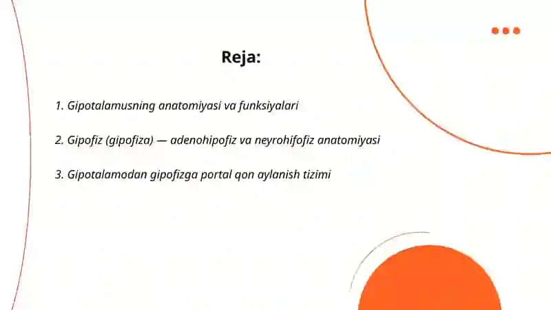 Gipotalamo gipofizar sistema 2