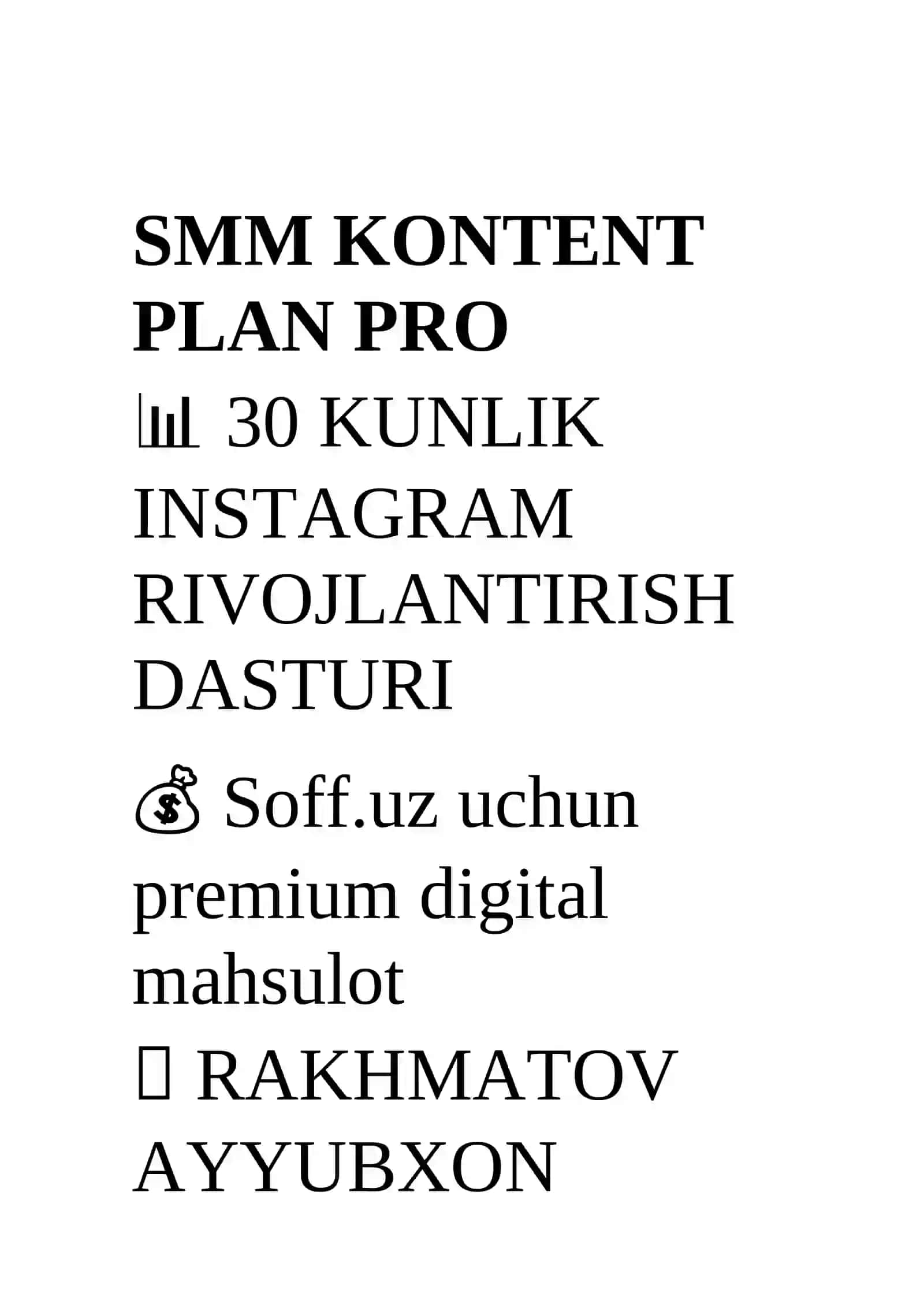 SMM KONTENT PLAN PRO 2