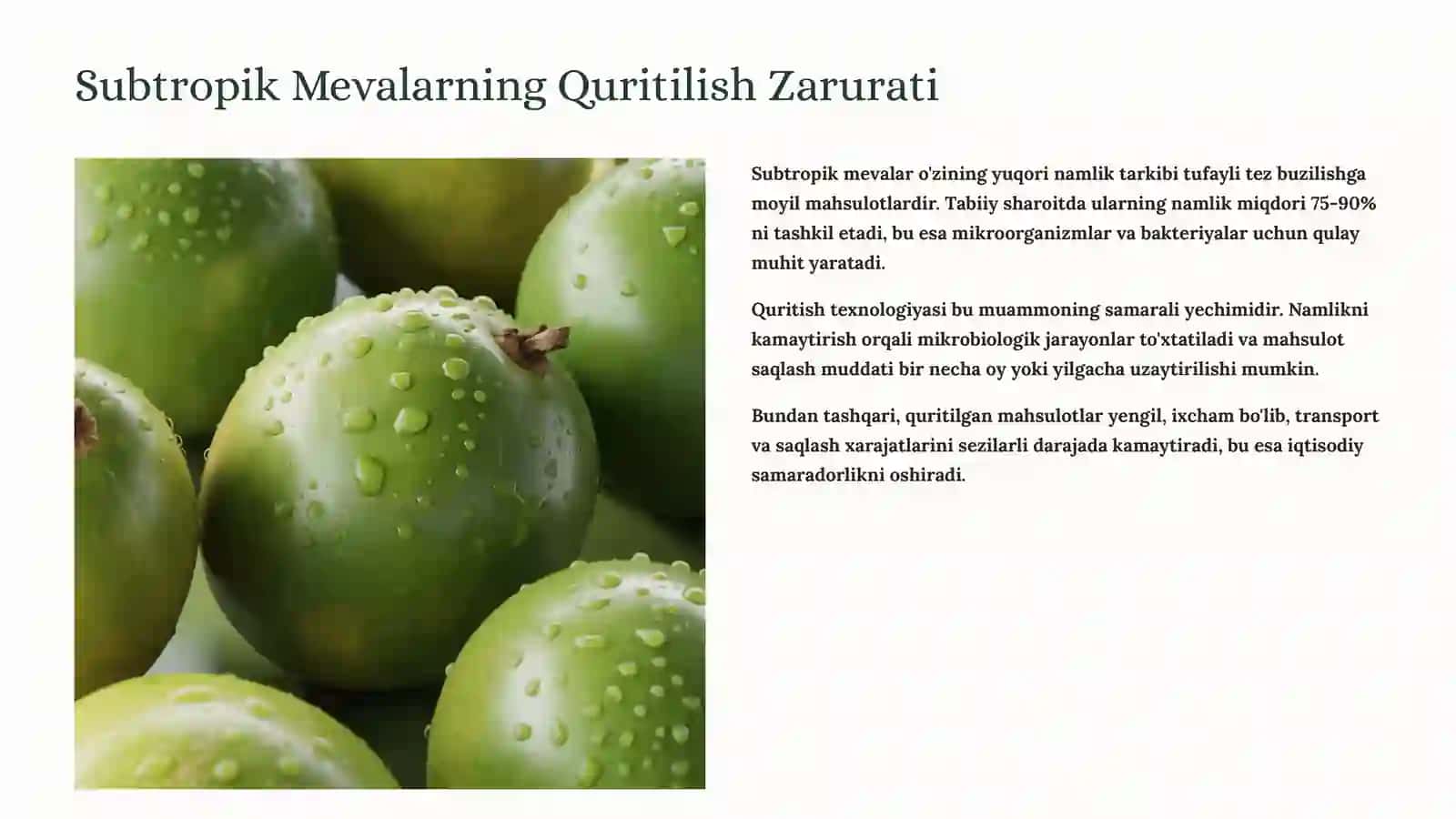 Subtropik Mevalardan Quritilgan Mahsulotlar Olish Texnologik Sxemasi 2