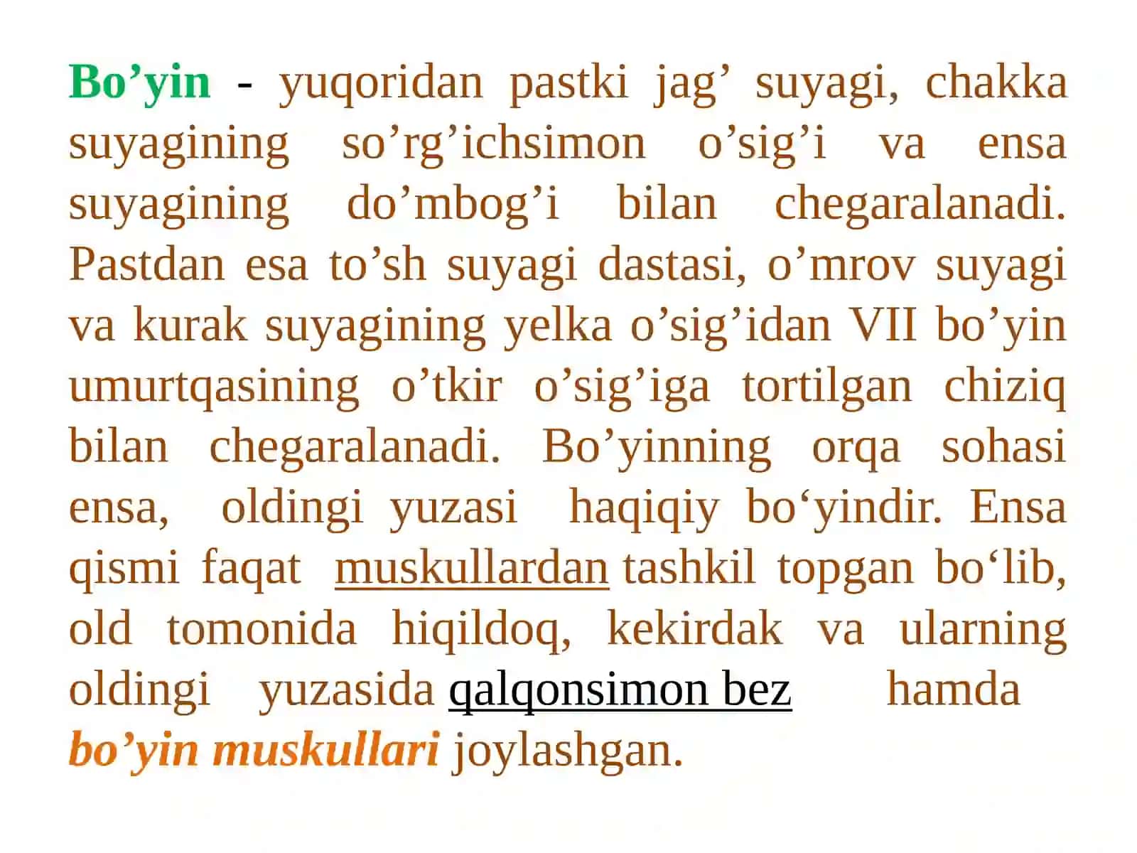 Miologiya. Muskullar haqida ta’limot 2