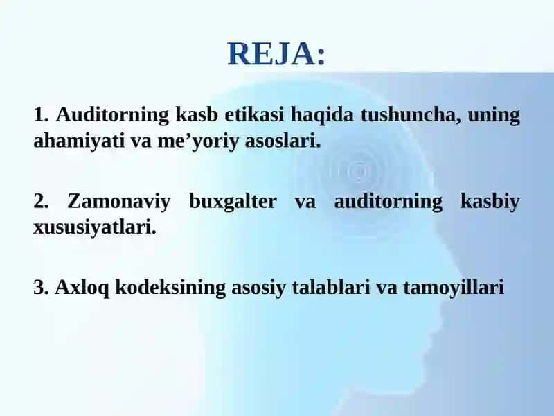 Auditorning Kasb Etikasi 2