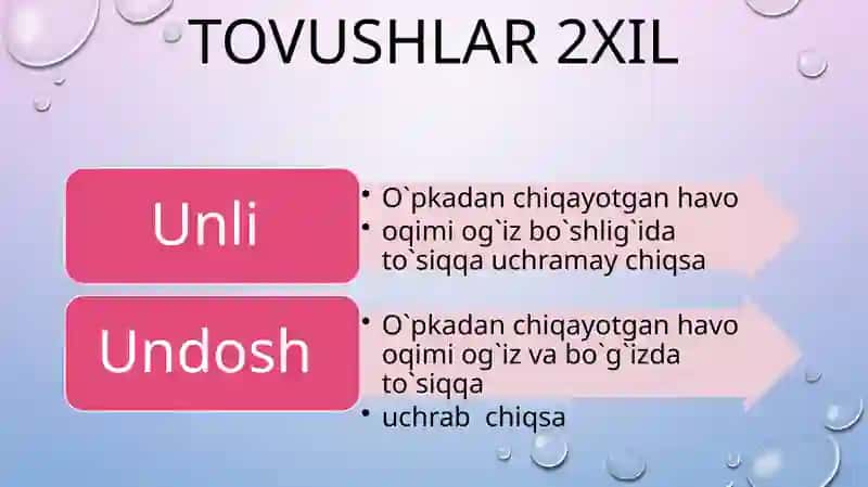 Undosh tovushlar 2