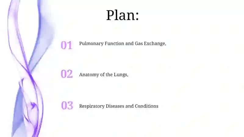 Anatomy of the Lungs 2