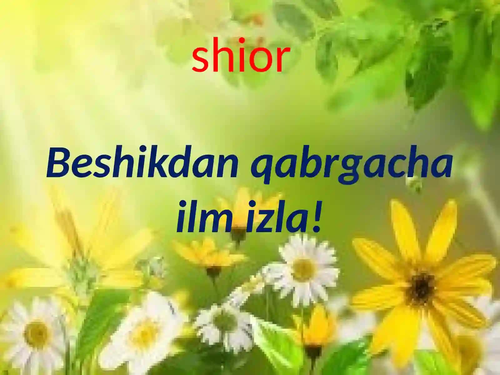 O’tilgan mavzuni mustahkamlash (I-topshiriq rasmlar asosida) 2