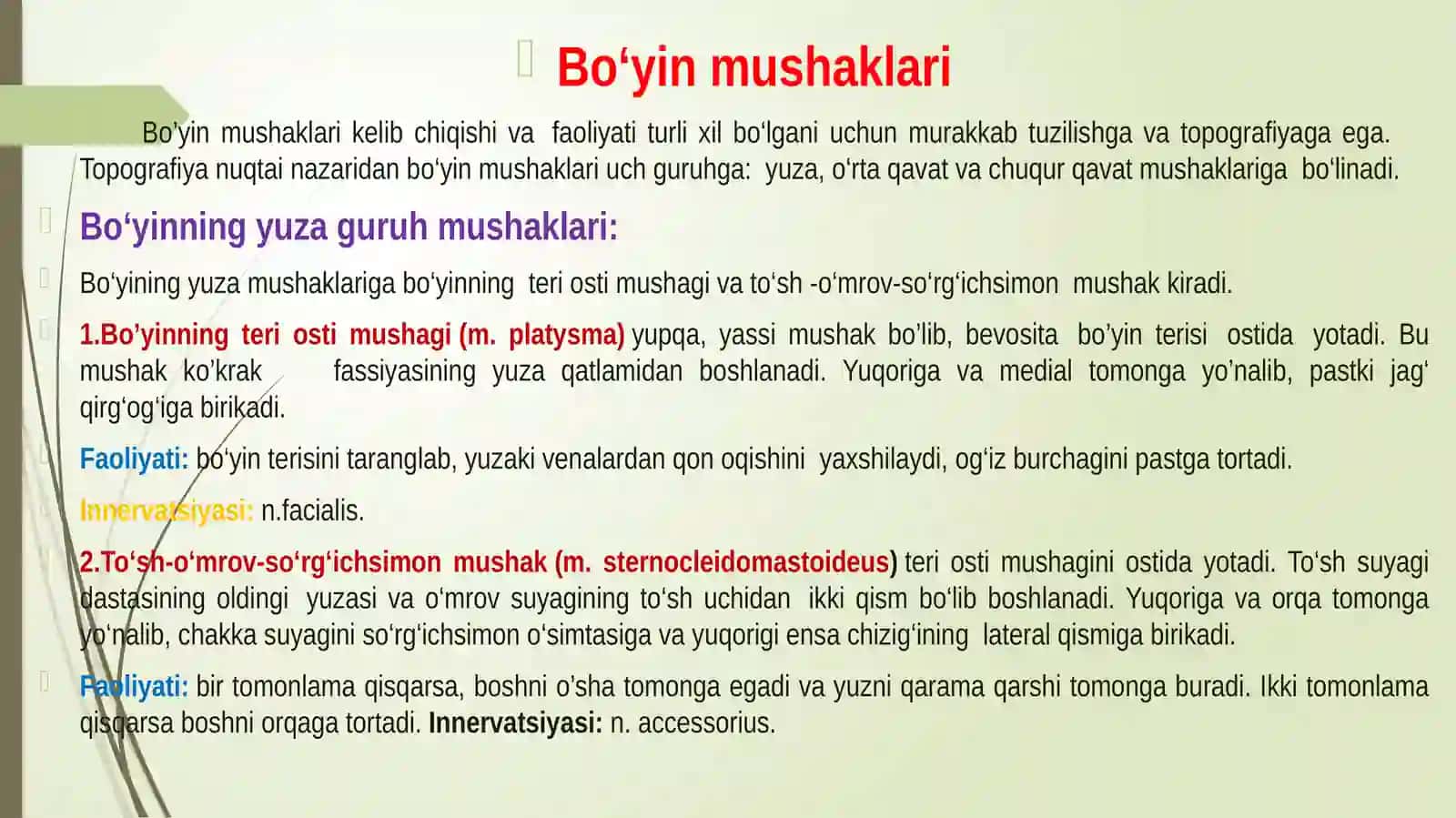 №15MА’RUZA:BO‘YIN MUSHAKLARI. BO‘YIN UCHBURCHAKLARI BO‘YIN FATSIYALARI ULARNING YOSHGA DOIR XUSUSIYATLARI 2