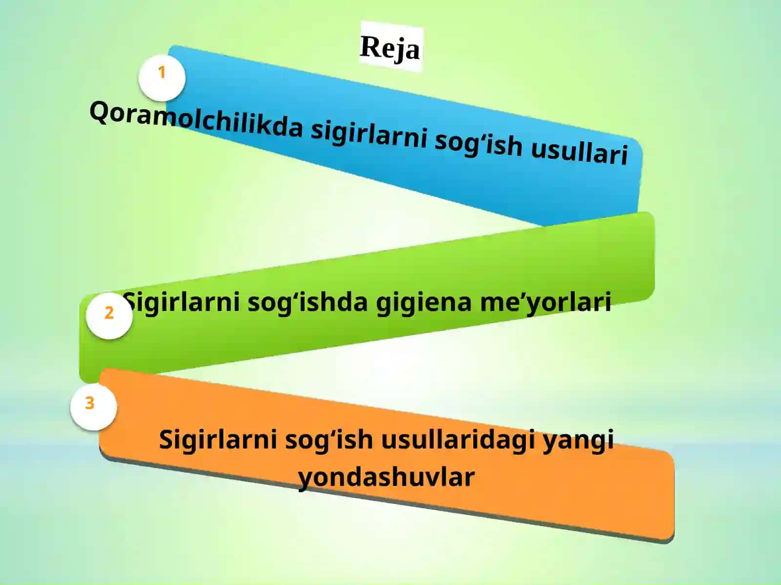 Sigirlarni sog'ish usullari va texnologiyasi 2