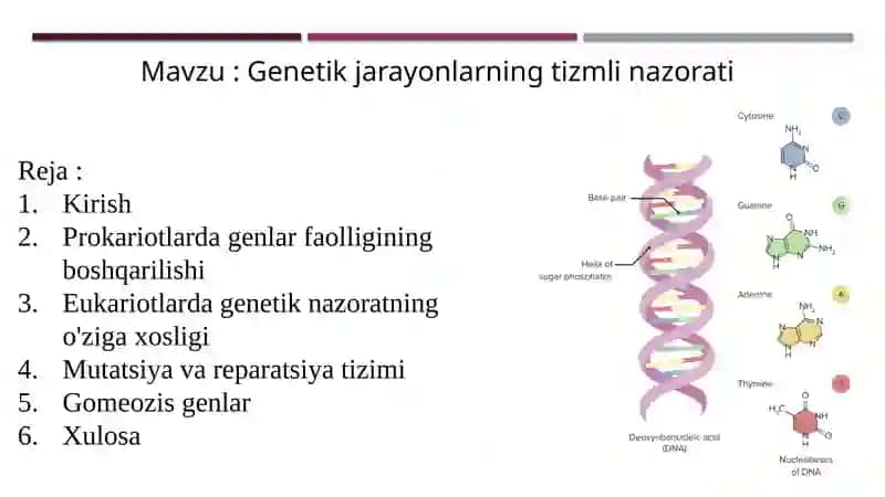 Genetik jarayonlarning tizmli nazorati 2