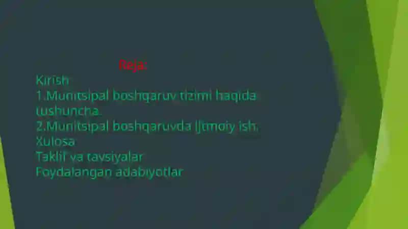 Munitsipal boshqaruv tizimida ijtimoiy ish amaliyotining tashkiliy tuzilmasi 2