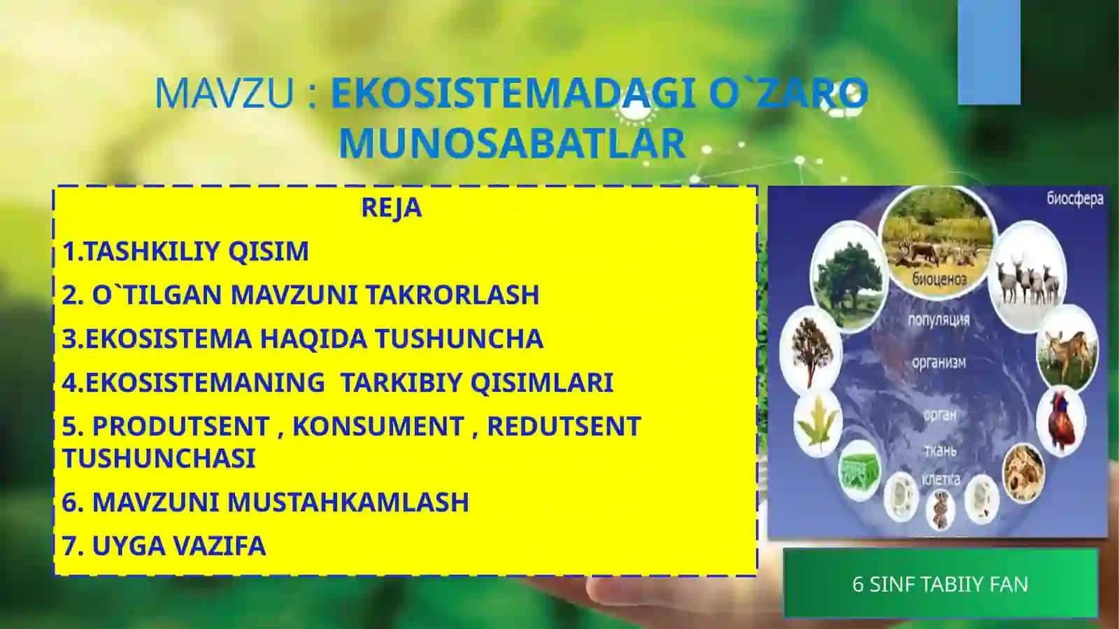 6-sinf Tabiiy fan Ekosistemadagi o'zaro munosabatlar bir soatlik ochiq dars ishlanma 2