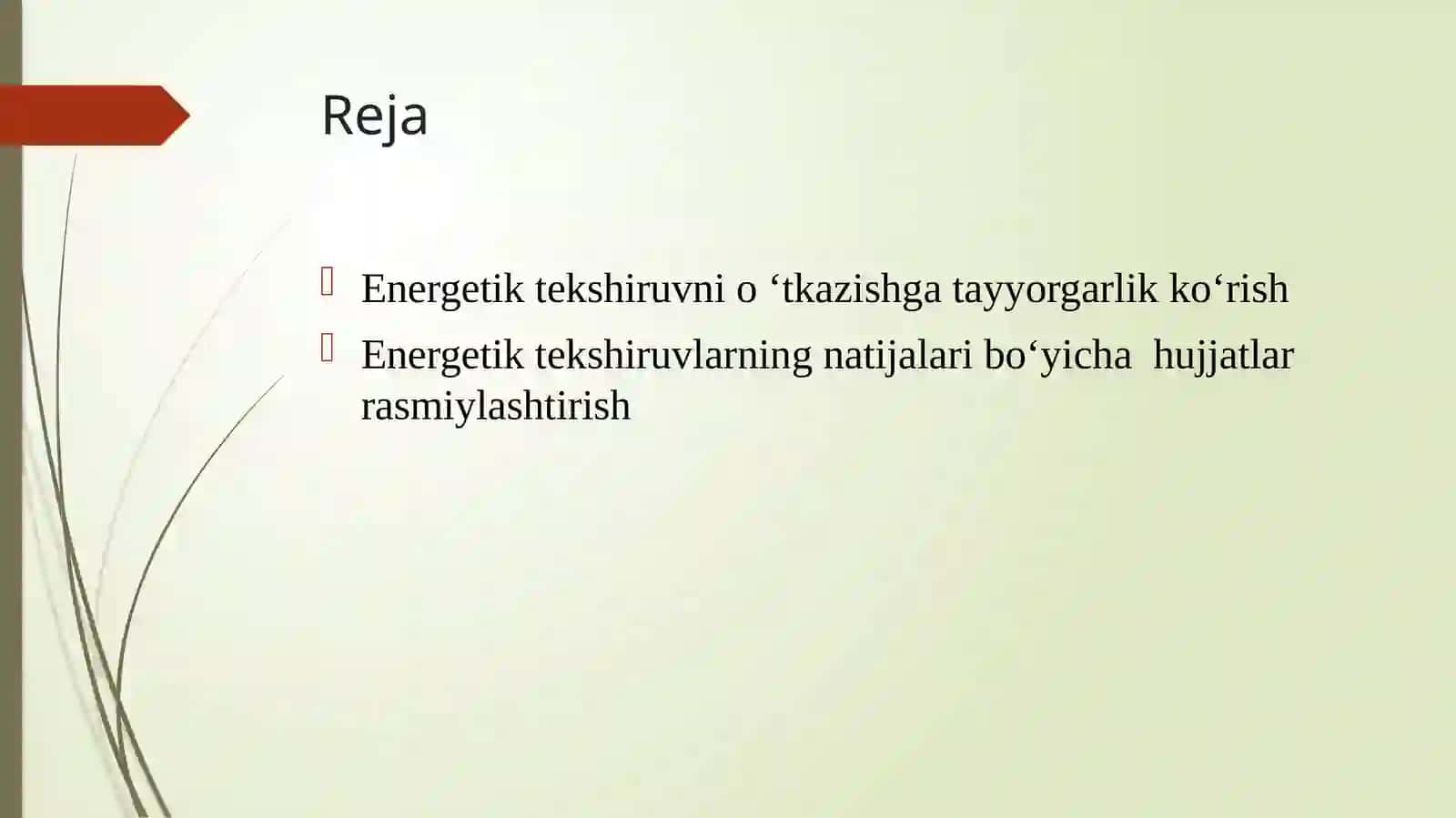 Energetik tekshiruvlari o‘tkazishni uslubiy ta'minlash 2