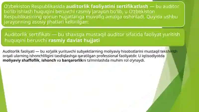 Auditorlik faoliyati 2