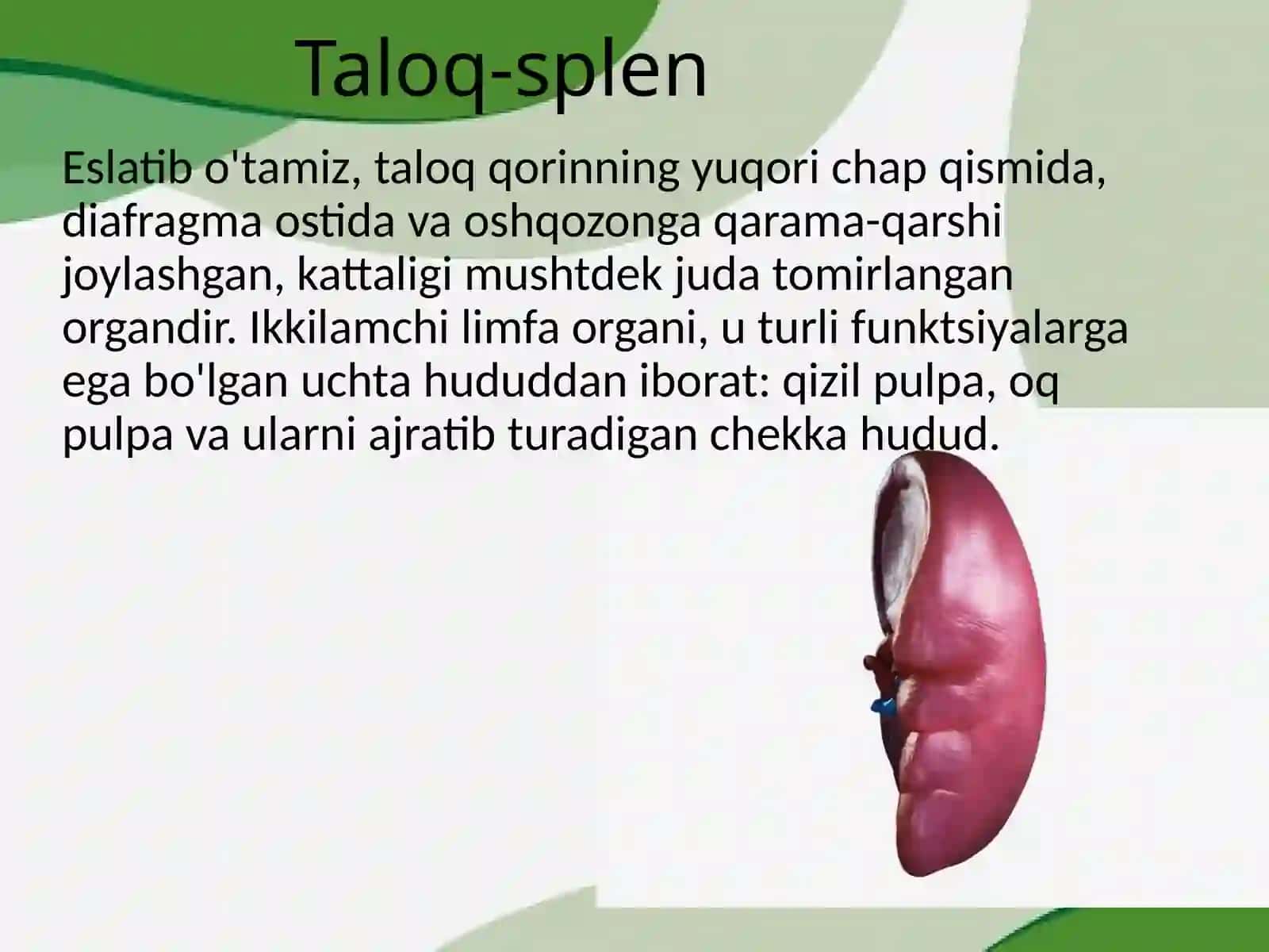 Splenektomiya 2