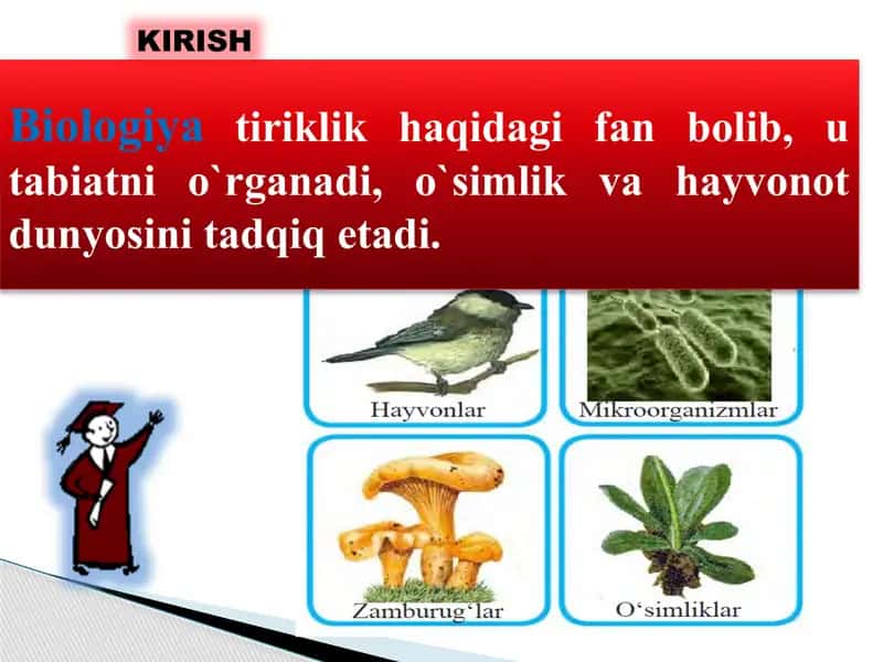Biologiya Tirik Organizmlar Haqidagi Fan 2