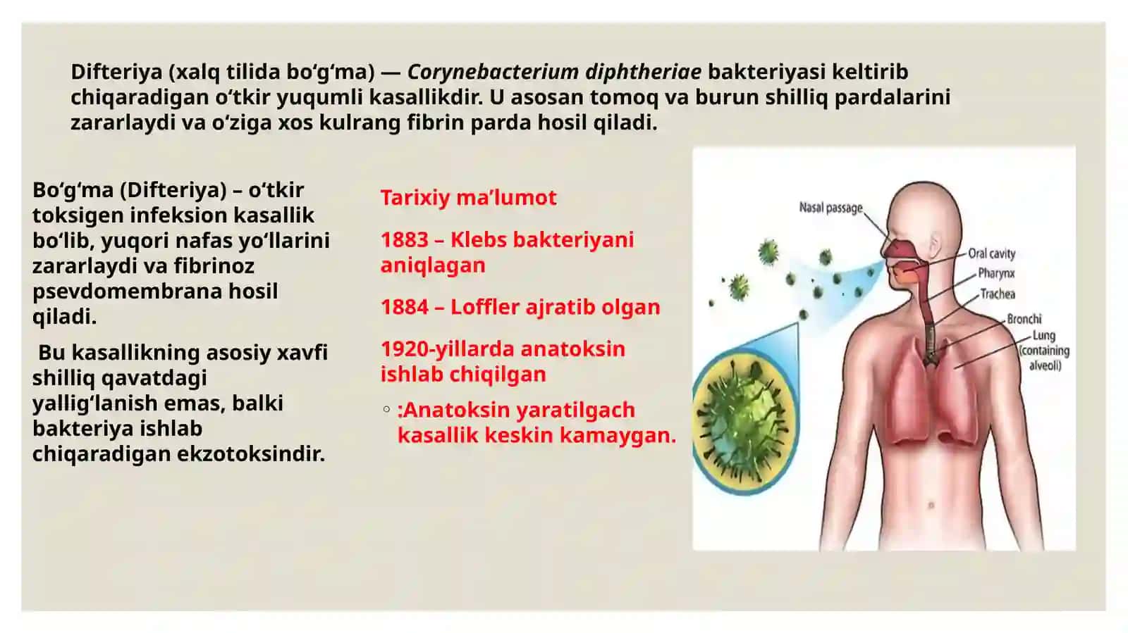 Bo'g‘ma (Difteriya) mikrobiologik tavsifi, patogenezi va diagnostikasi 2