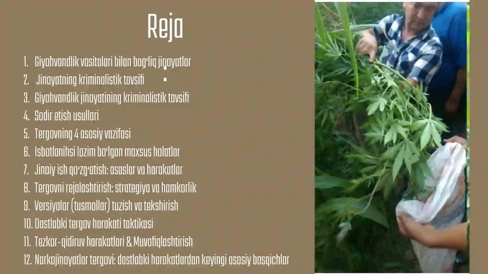 GIYOHVANDLIK VOSITALARI BILAN BOG’LIQ JINOYATLARNI TEGOV QILISH 2