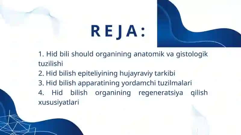 HID BILISH ORGANINING TUZILISHI VA UNING REGENERATSIYA QILISH XUSUSIYATLARI 2