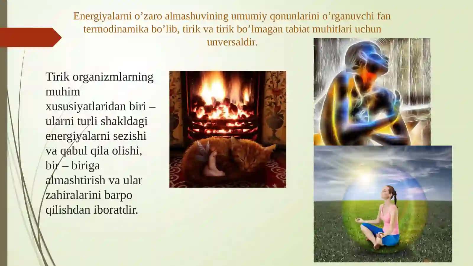 Termodinamika qonunlarini tirik organizmlarga tadbig’i 2