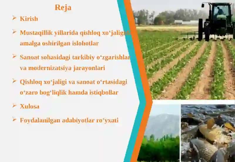 Mustaqillik yillarida qishloq xo‘jaligi va sanoat sohasidagi o‘zgarishlar 2