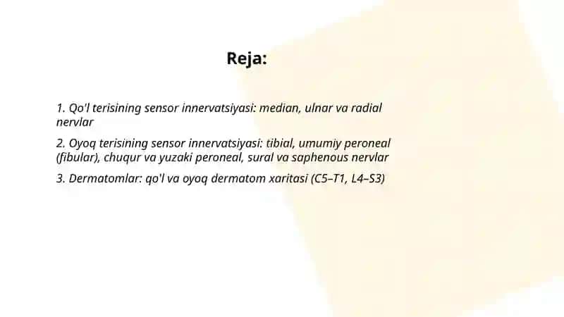 Qo'l va Oyoq Terisining Innervatsiyasi 2