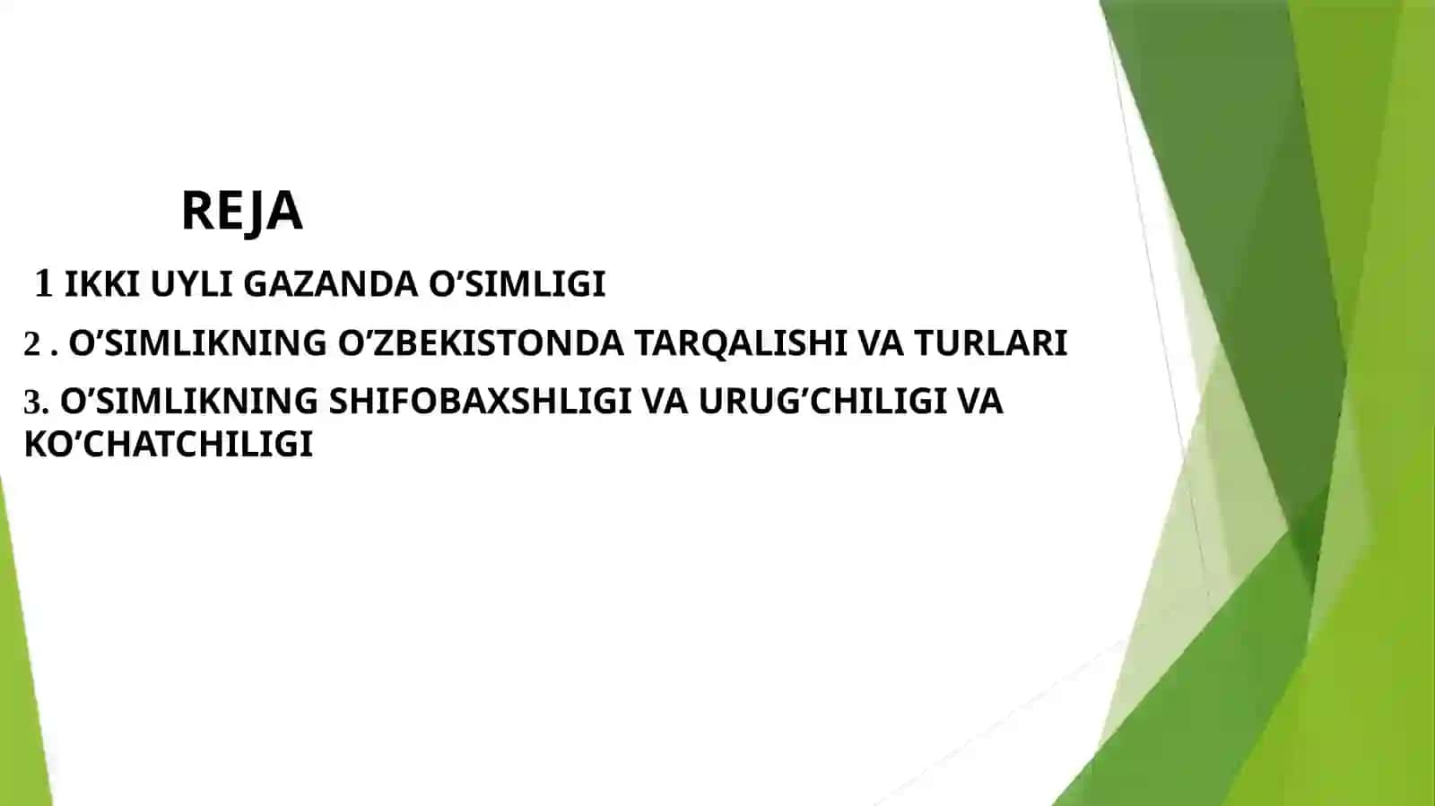 IKKI UYLI GAZANDA (KRAPIVA DVUDOMNAYA)URTICA DIOICAL O’SIMLIGI URUG’CHILIGI VA KO’CHATCHILIGI 2