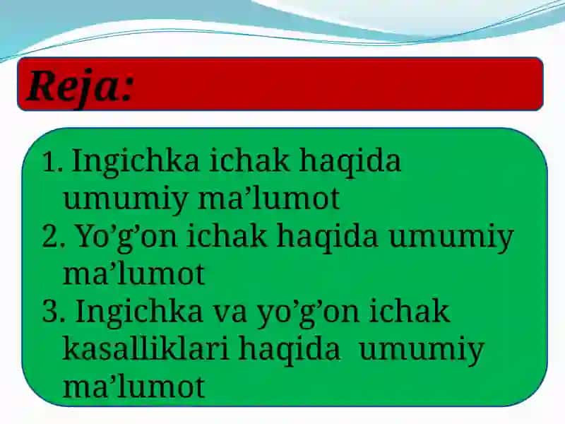 Odam va hayvonlar ingichka  va yo’g’on ichagida ovqat hazm bo’lishining o’ziga xosligi 2