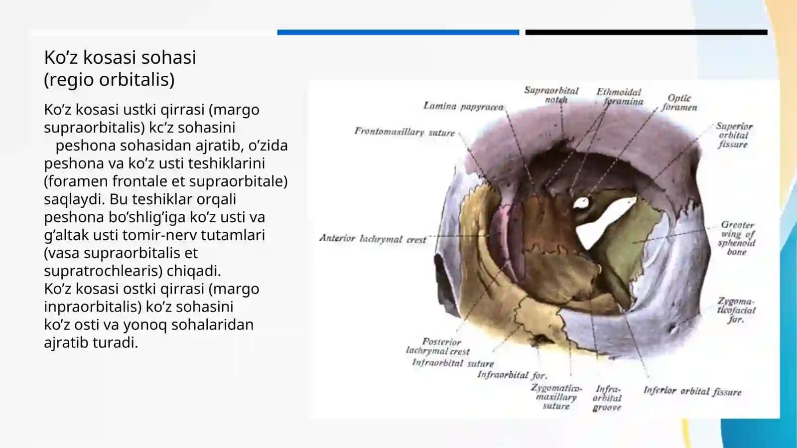 TURSUNOVA SEVARA 2
