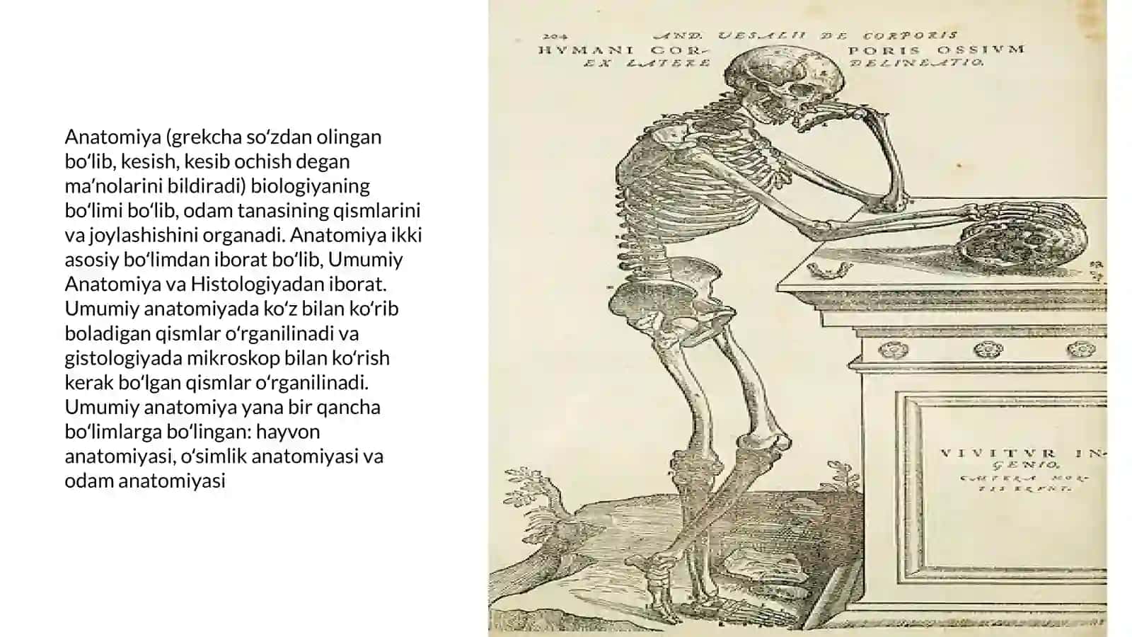 Anatomiyani organish usullari 2