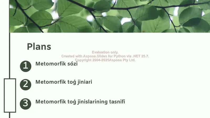 Metomorfik to'g' jiniari va ularning tasnifi 2