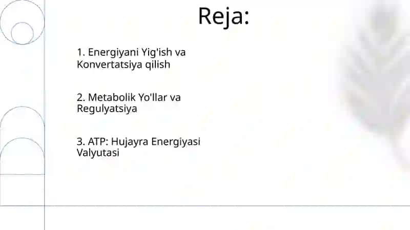 Metobolizm jarayonida energiyani hosil bòlishi va sarflanishi 2
