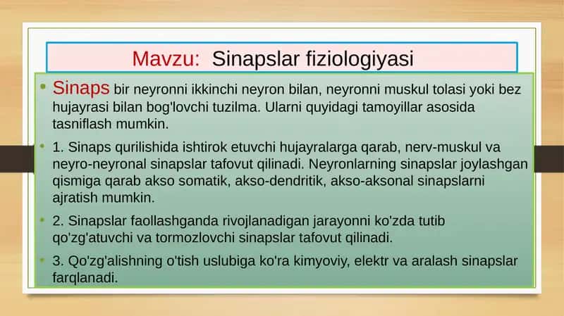 Sinaps 2