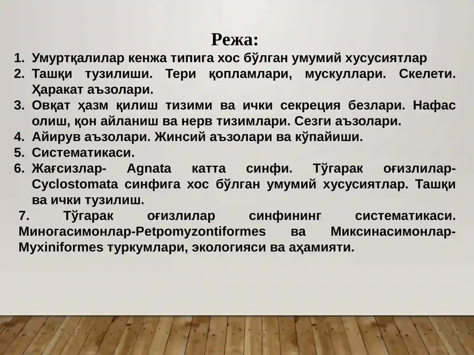 Умуртқалилар– Vertebrata ёки Бош скелетлилар-Craniata кенжа типи 2