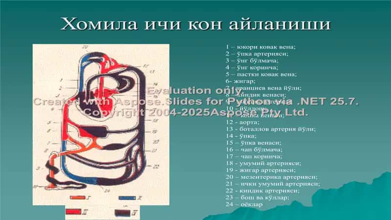 Юракда шовкин синдроми: тугма ва орттирилган юрак нуксонлари 2