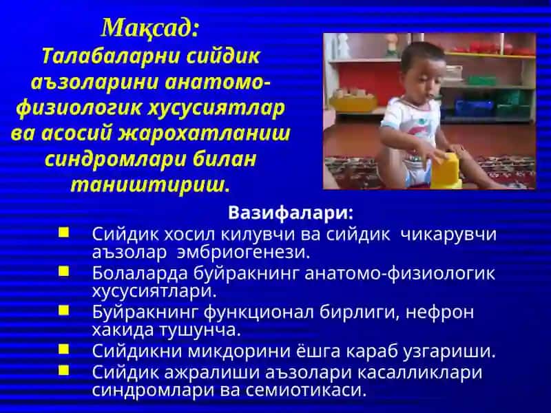 Болаларда сийдик аъзоларининг анатомо-физиологик хусусиятлари ва жарохатланиш синдромлари 2