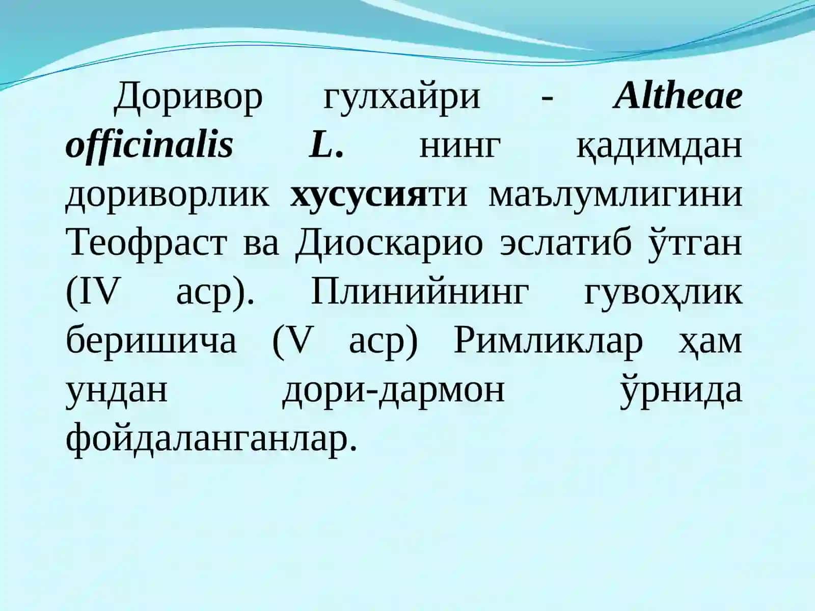 Андижон вилояти да доривор гулхайри доривор хусусиятлари 2