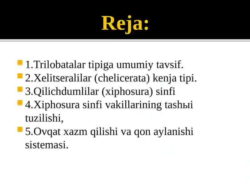 Umurtqasizlar zoologiyasidan tayorlagan 2