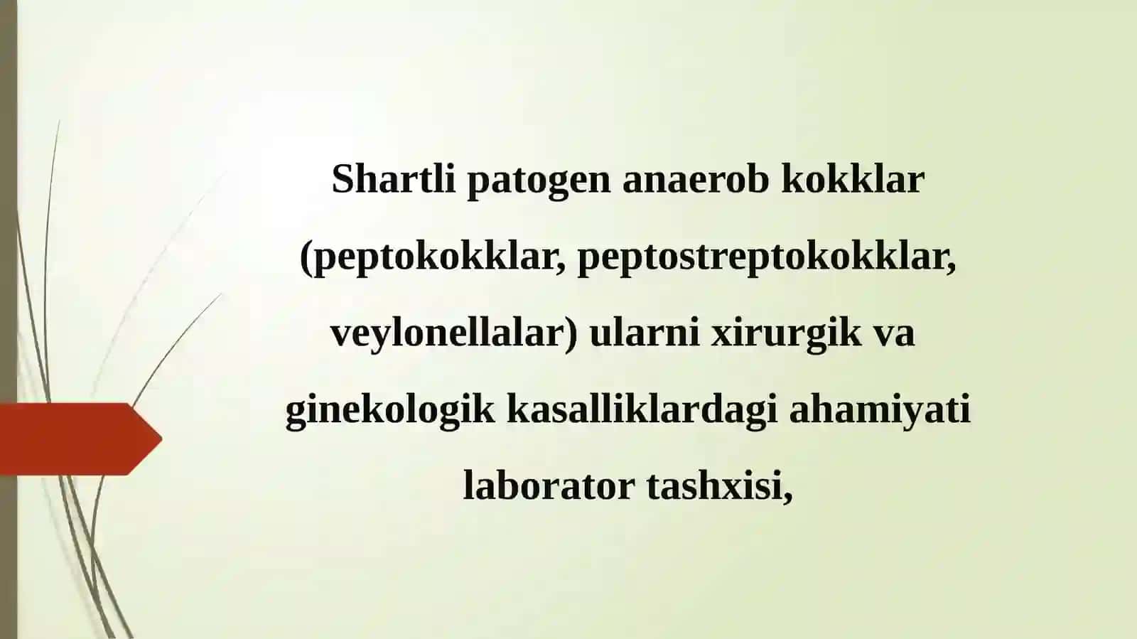 Shartli patogen anaerob kokklar 2