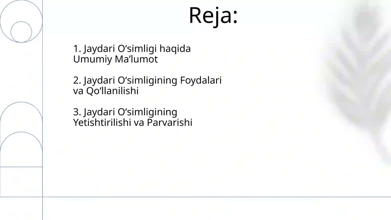 Jaydari Oʻsimligi haqida 2