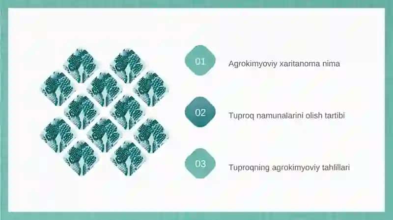 AGROKIMYOVIY XARITANOMA TUZISH UCHUN TUPROQ NAMUNALARINI OLISH, TAHLIL QILISH VA AGROKIMYOVIY XARITANOMALAR TUZISH 2