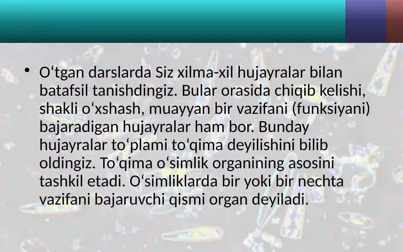 5-sinf Botanika O'simlik to'qimalari 2