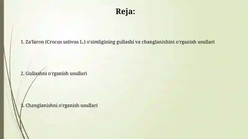 Za'faron(CrocussativusL.)o‘simligininggullashivachanglanishinio‘rganishmetodlari 2