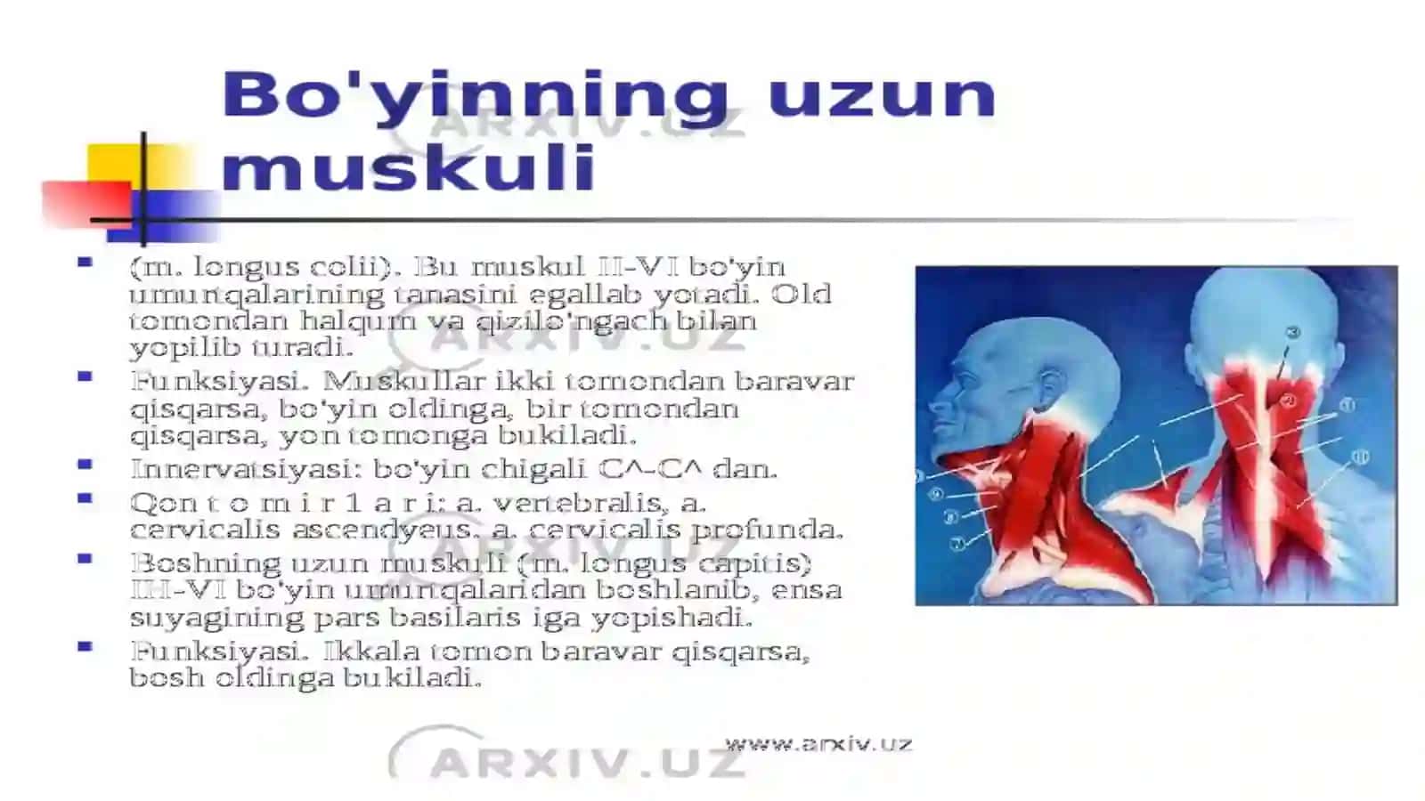Ko'p tarmoqli tibbiyot texnikumi 2