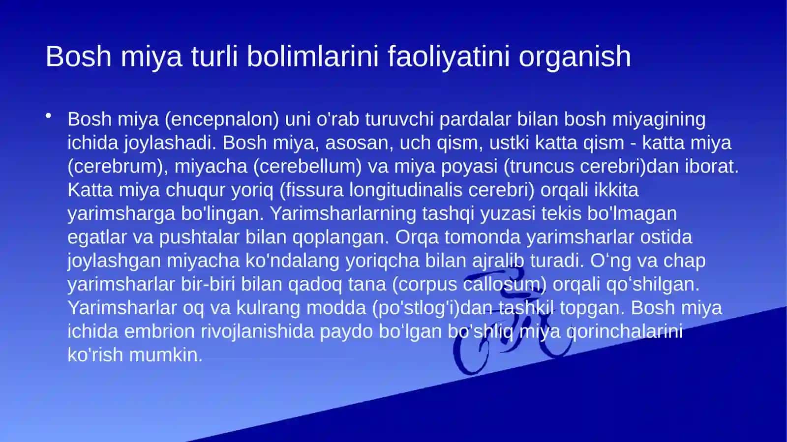 bosh miya turli boʻlimlarining faoliyatini oʻrganish prezintatsiya 2