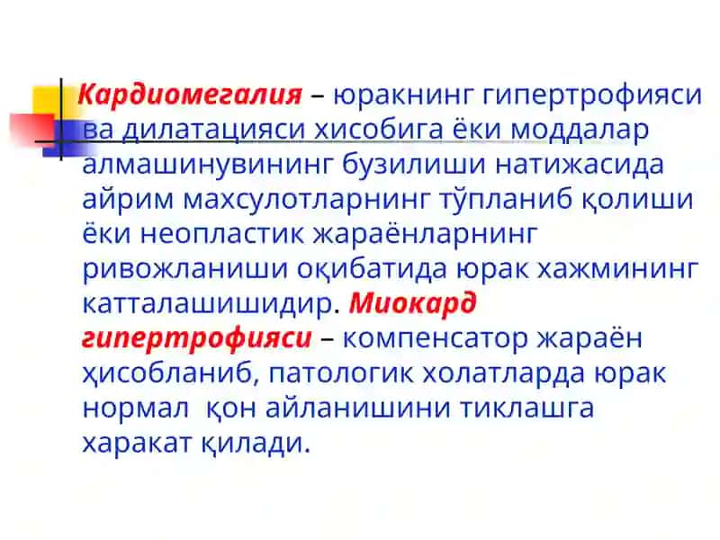 КАРДИОМЕГАЛИЯ 2
