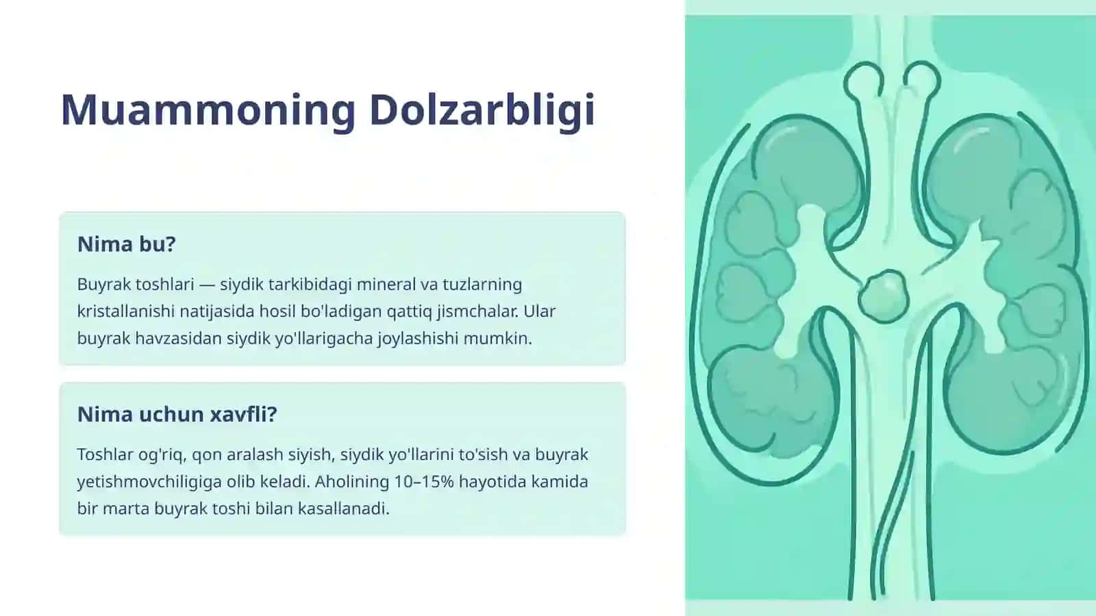 Buyraklarda Tosh Hosil Bo'lishining Oldini Olishning Biokimyoviy Asoslari 2